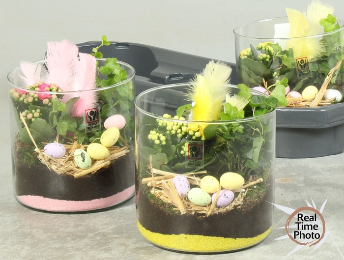 <h4>ARR KAMERPL</h4>