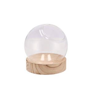 Glass Vase On Wood Sphere 13x13cm