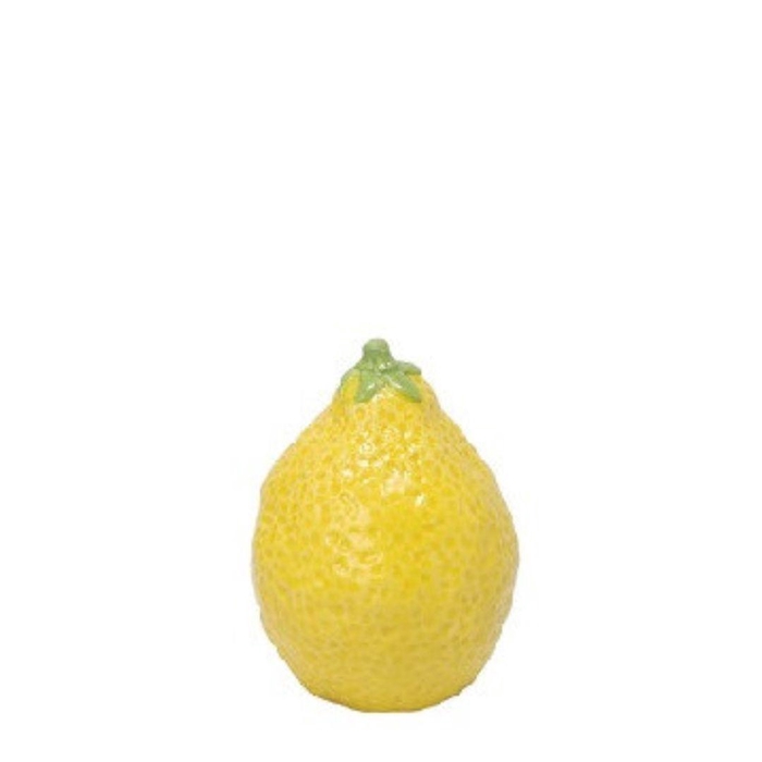 <h4>Spring Decon Lemon d07*9cm</h4>