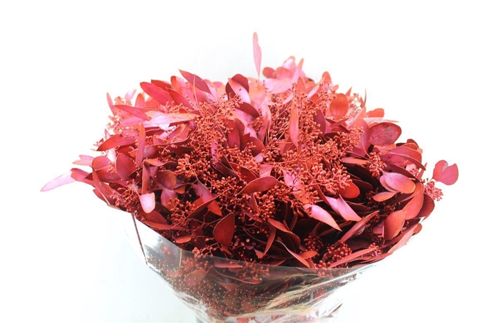 <h4>Euca Populus Berry Metal Red</h4>