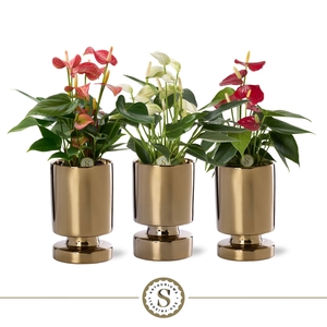 Stockholm Gold Keramiek 9cm Mix