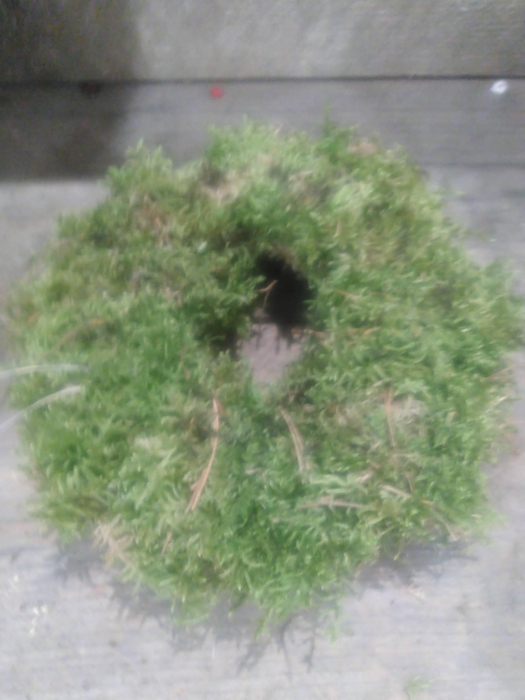 <h4>KRANZ 16 MOOS 15CM</h4>