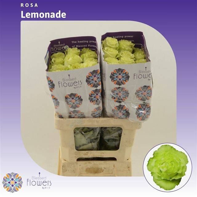 <h4>Rs gr Lemonade</h4>