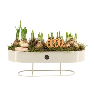 11465: Outdoor spring arrangement