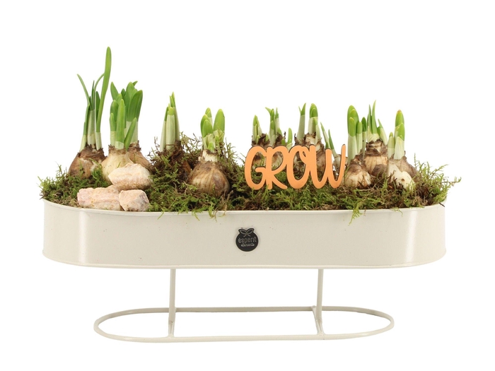 <h4>11465: Outdoor spring arrangement</h4>