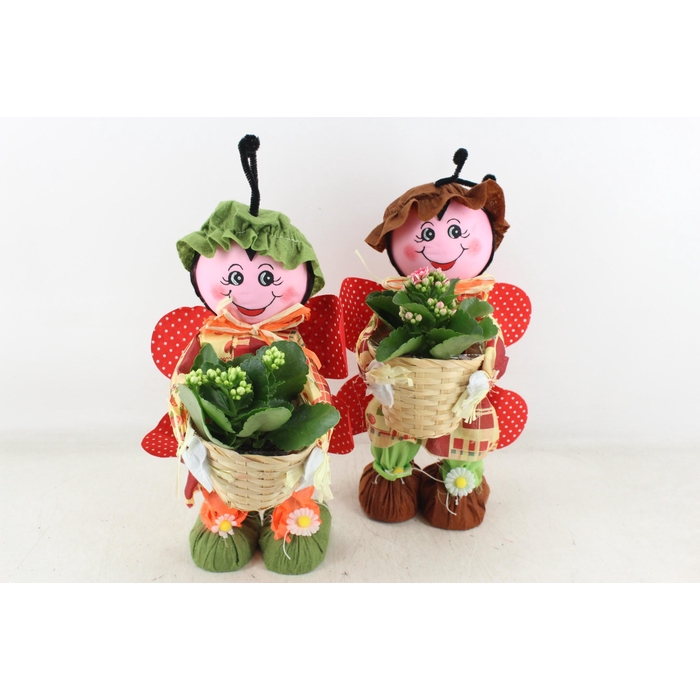<h4>Arr2 Td - Lieveheersbeestje - Roze/wit</h4>