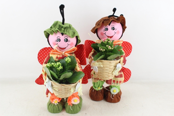 Arr2 Td - Lieveheersbeestje - Roze/wit