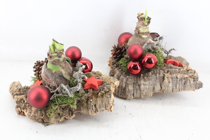 <h4>arr4 Amarayllis MB - Kurk plaat x3 red</h4>