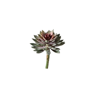 Artificial plants Succulent 20cm