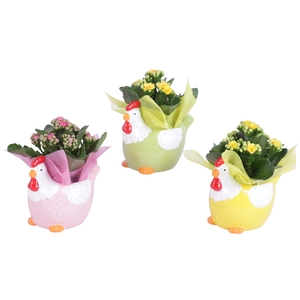 Easter Arr. Indoor Ceramic Colorful Chicken Mix Ø14cm 1PP