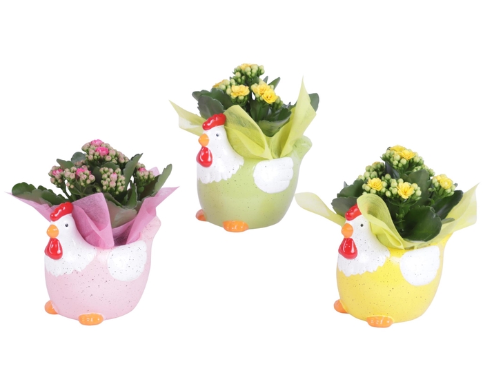 <h4>Easter Arr. Indoor Ceramic Colorful Chicken Mix Ø14cm 1PP</h4>