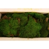 Pres Flatmoss Mossgreen 5kg Box