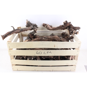 arr3 GB - Druivenhout 40cm