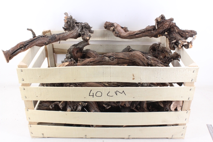 <h4>arr3 GB - Druivenhout 40cm</h4>