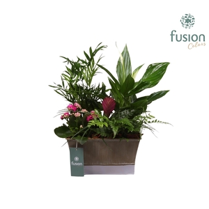 Zinken pot vierkant met arrangement