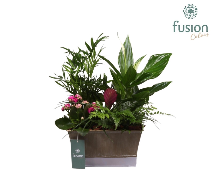 <h4>Zinken pot vierkant met arrangement</h4>