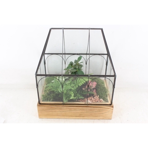 arr3 WR - Terrarium Wardian case two