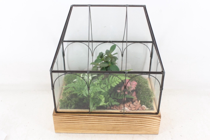 <h4>arr3 WR - Terrarium Wardian case two</h4>