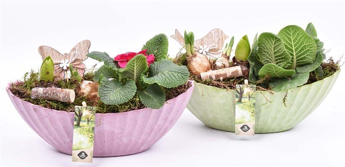 <h4>Kunstof kano groen/roze 28x12cm</h4>