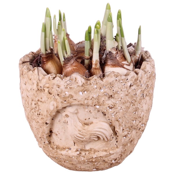 <h4>Easter Arr. Narcis Ceramic Lavastone Egg Chicken Relief Ø12cm</h4>