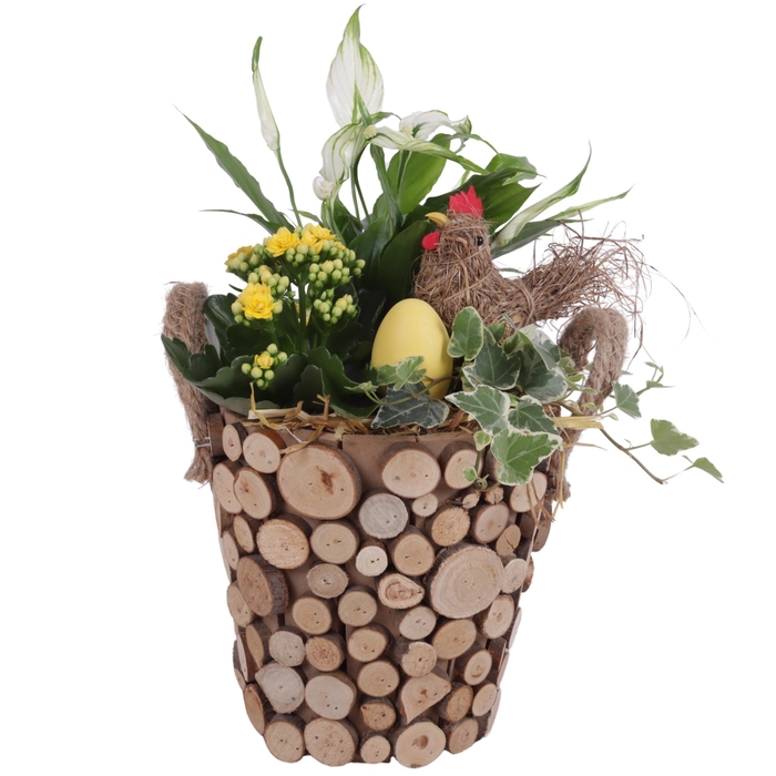 <h4>Easter Arr. Indoor Wooden Pot Round Tree Chucks Ø20cm 3PP</h4>