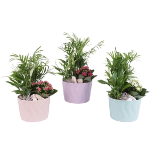 Yearround Arr. Indoor Ceramic Soft Elegance SE662 Ø17cm 3PP