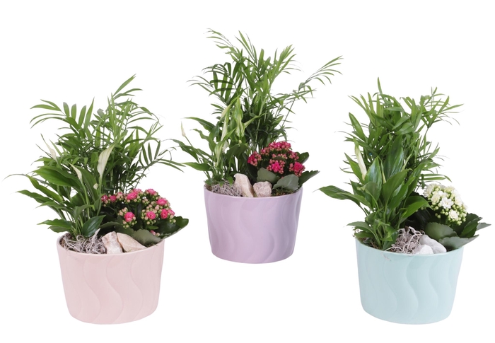 <h4>Yearround Arr. Indoor Ceramic Soft Elegance SE662 Ø17cm 3PP</h4>