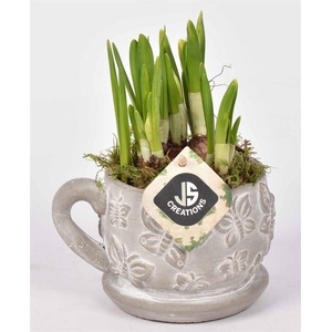 Cement vlinder kop en schotel 11cm