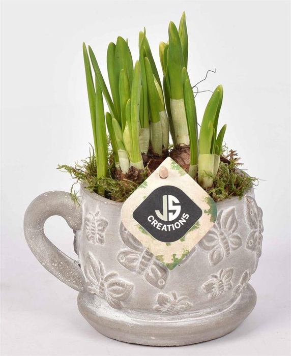 <h4>Cement vlinder kop en schotel 11cm</h4>