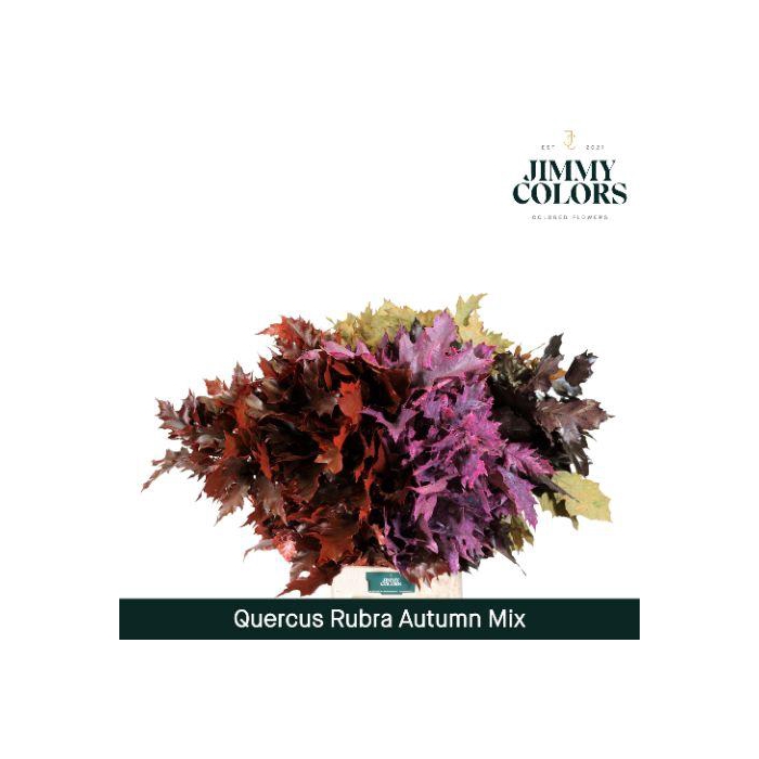 <h4>Quercus Rubra L80 Autumn Mix</h4>