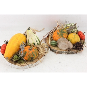 arr4 Sierfruit MB - Hout schijf x4