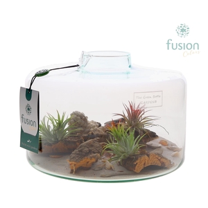 Green Bottle Kyra Large met Maritiem arrangement