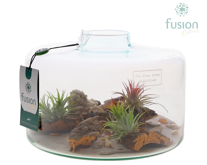 <h4>Green Bottle Kyra Large met Maritiem arrangement</h4>