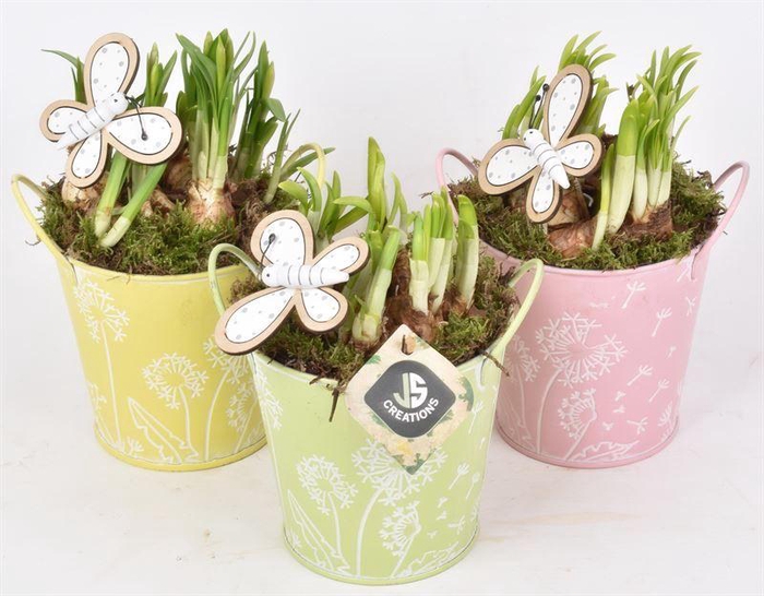 <h4>Zink emmer decor 12cm</h4>