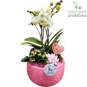 PE033 Esra Pink Small Love