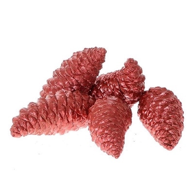 <h4>Dennenappels Maritima wax closed 12cm x5</h4>