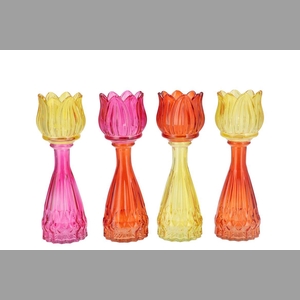 Bicolore Dutch Orange Mix Tulip Vase Ass 7x22cm Nm