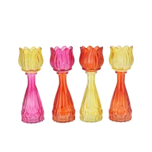 Bicolore Dutch Orange Mix Tulip Vase Ass 7x22cm Nm