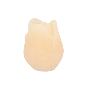 Candle Tulip Ivory 10x13cm Nm