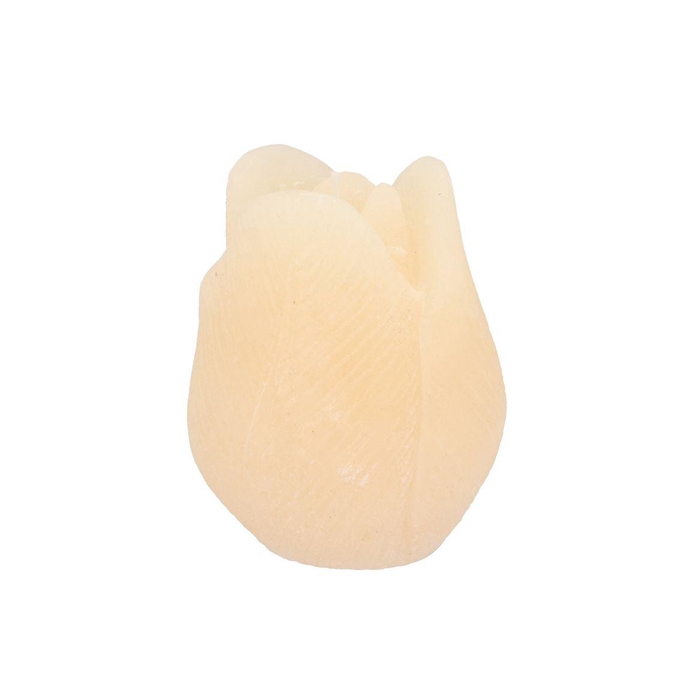 <h4>Candle Tulip Ivory 10x13cm Nm</h4>