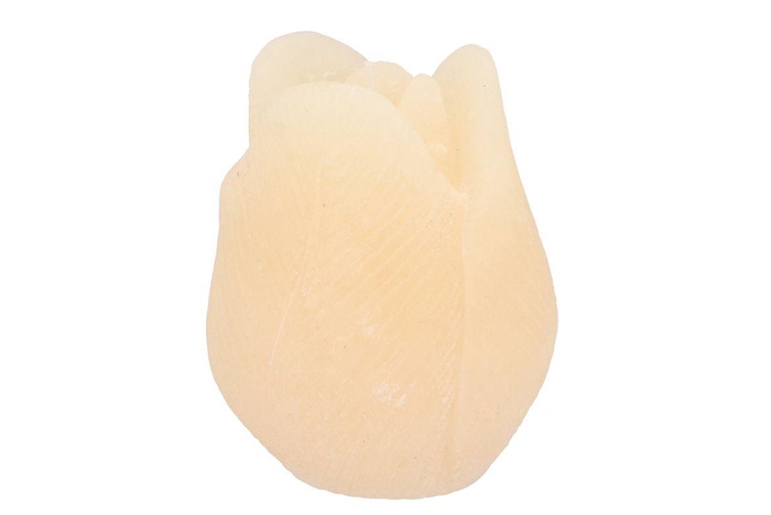 Candle Tulip Ivory 10x13cm Nm