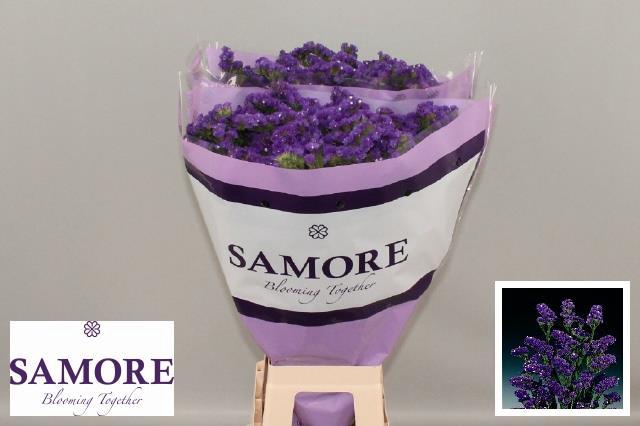 <h4>Limonium Statice Crystal Dark Blue</h4>