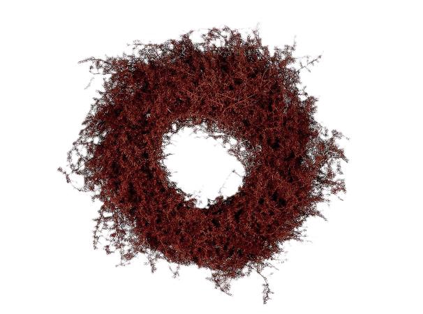 Wreath Asparagus D40