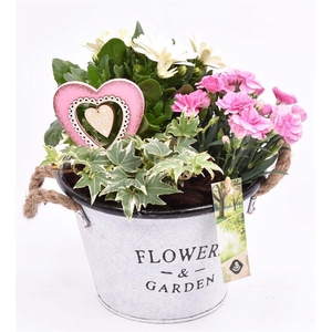 Zink teil Flowers & Garden 18cm