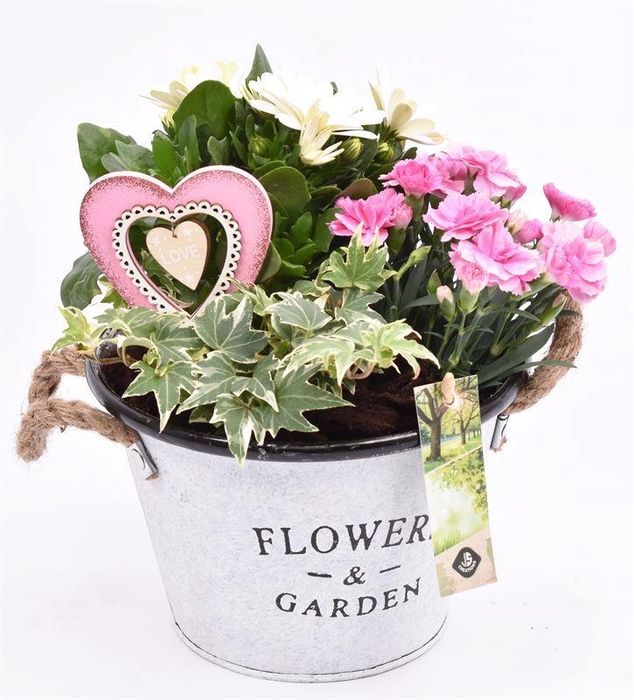 <h4>Zink teil Flowers & Garden 18cm</h4>