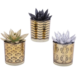 Echeveria goud, zwart en zilver in luxe design pot