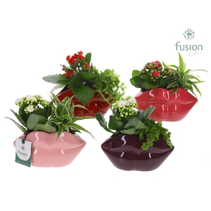 Keramiek Lippen planter met Arrangement