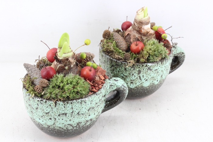 <h4>arr4 Amaryllis MB - Luxe mok x6 RED</h4>