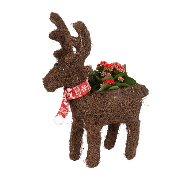 <h4>Christmas Arr. Indoor Salim Reindeer scarf ø23c 1PP</h4>