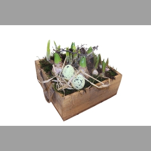 Arr.   Bol/Knolgewas L%